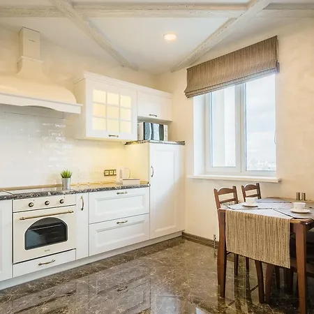 Apartment Loft Platonova 33